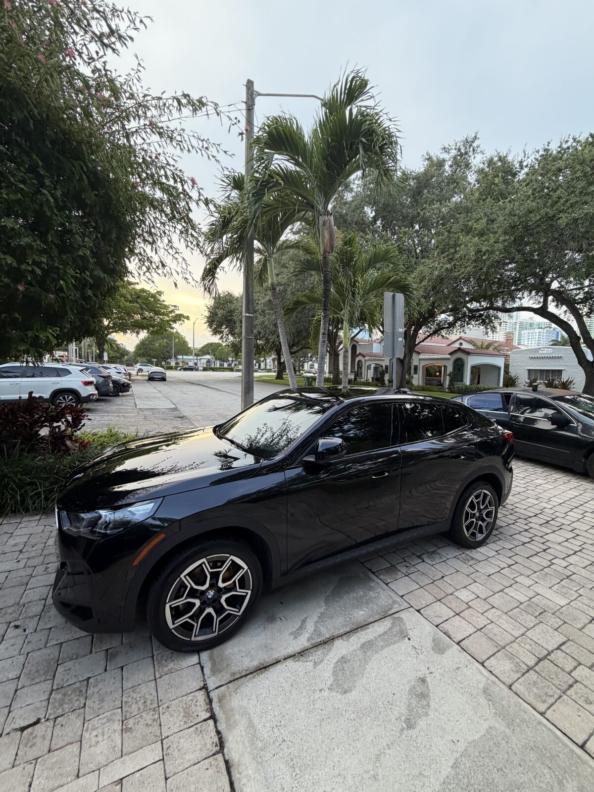 BMW — exterior detail complete, palm tree backdrop
