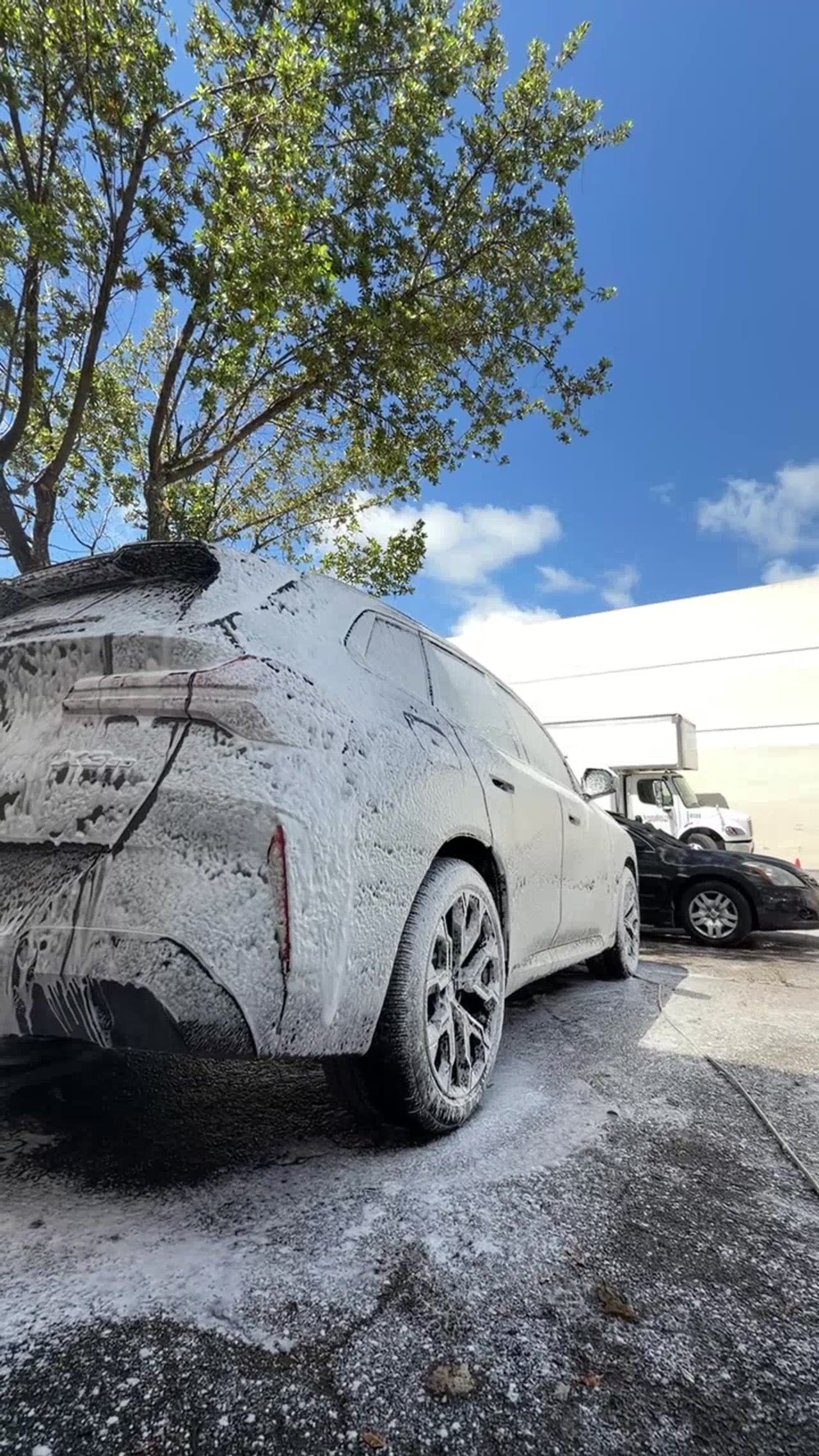 Dark SUV — foam cannon full soak
