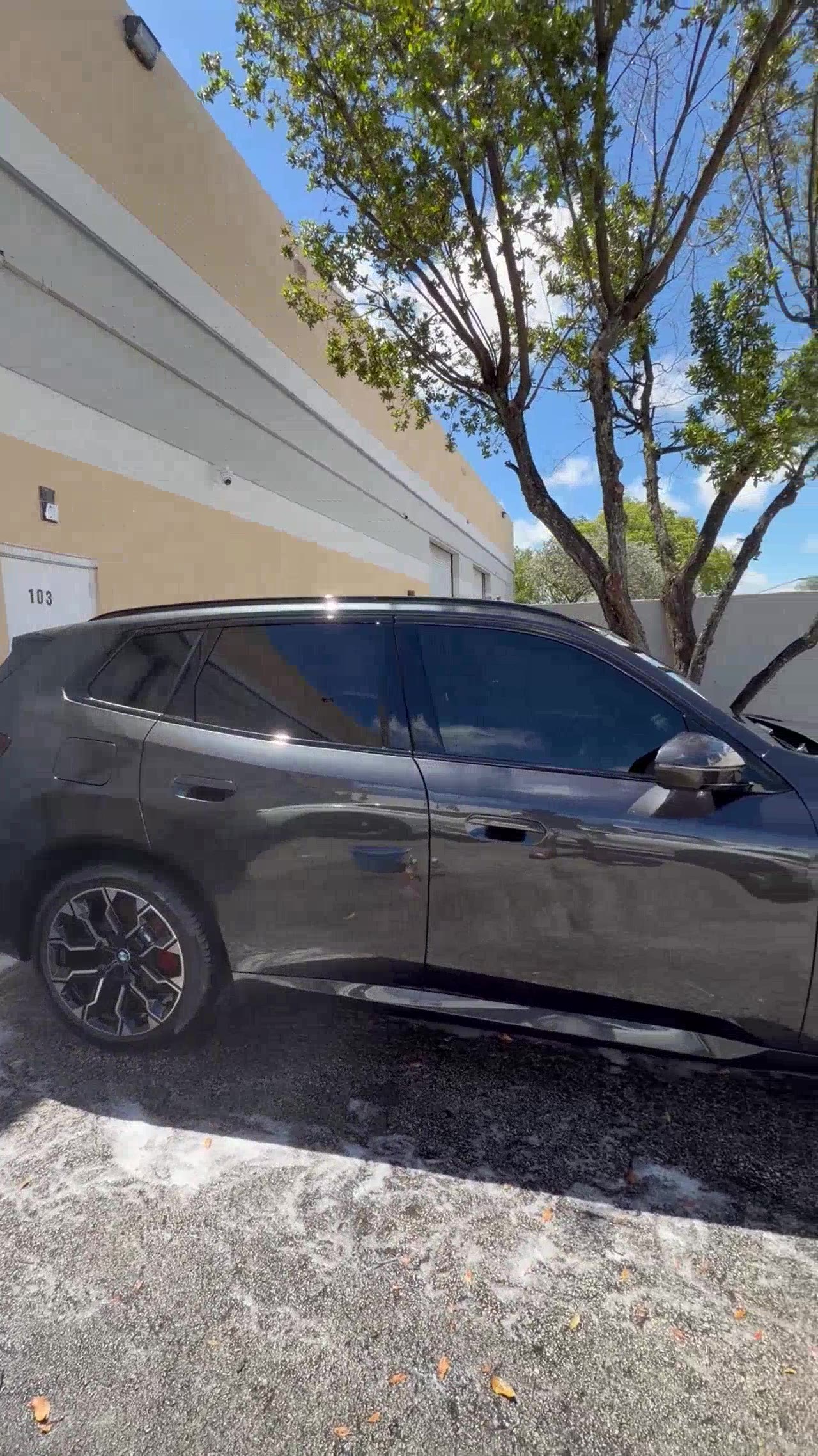 BMW X5 — clean side profile post-detail