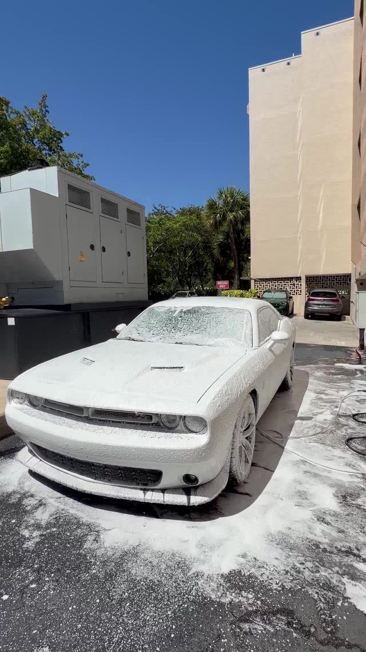 Dodge Challenger — full foam cannon pre-soak