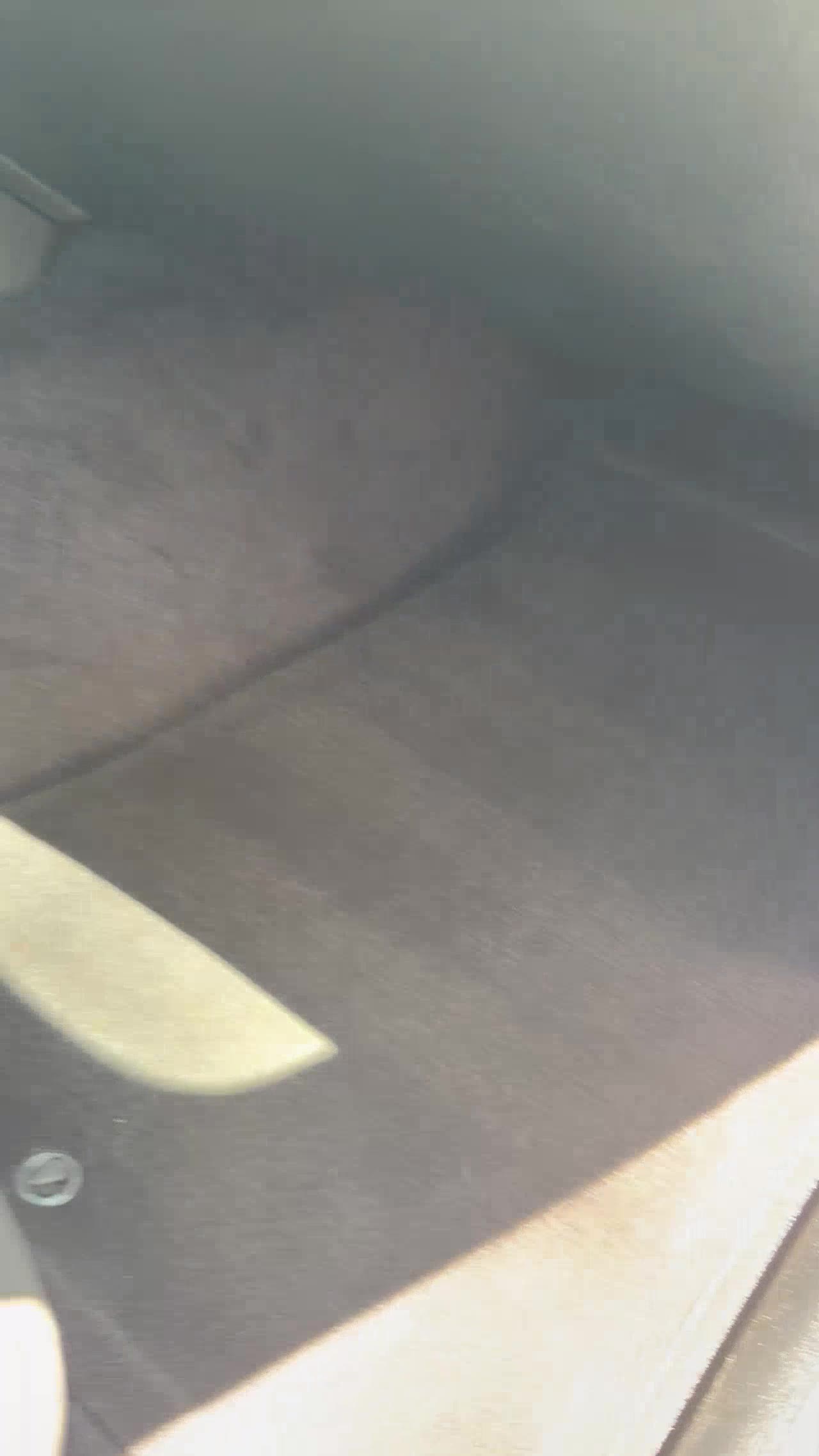 Interior carpet detail — clean results