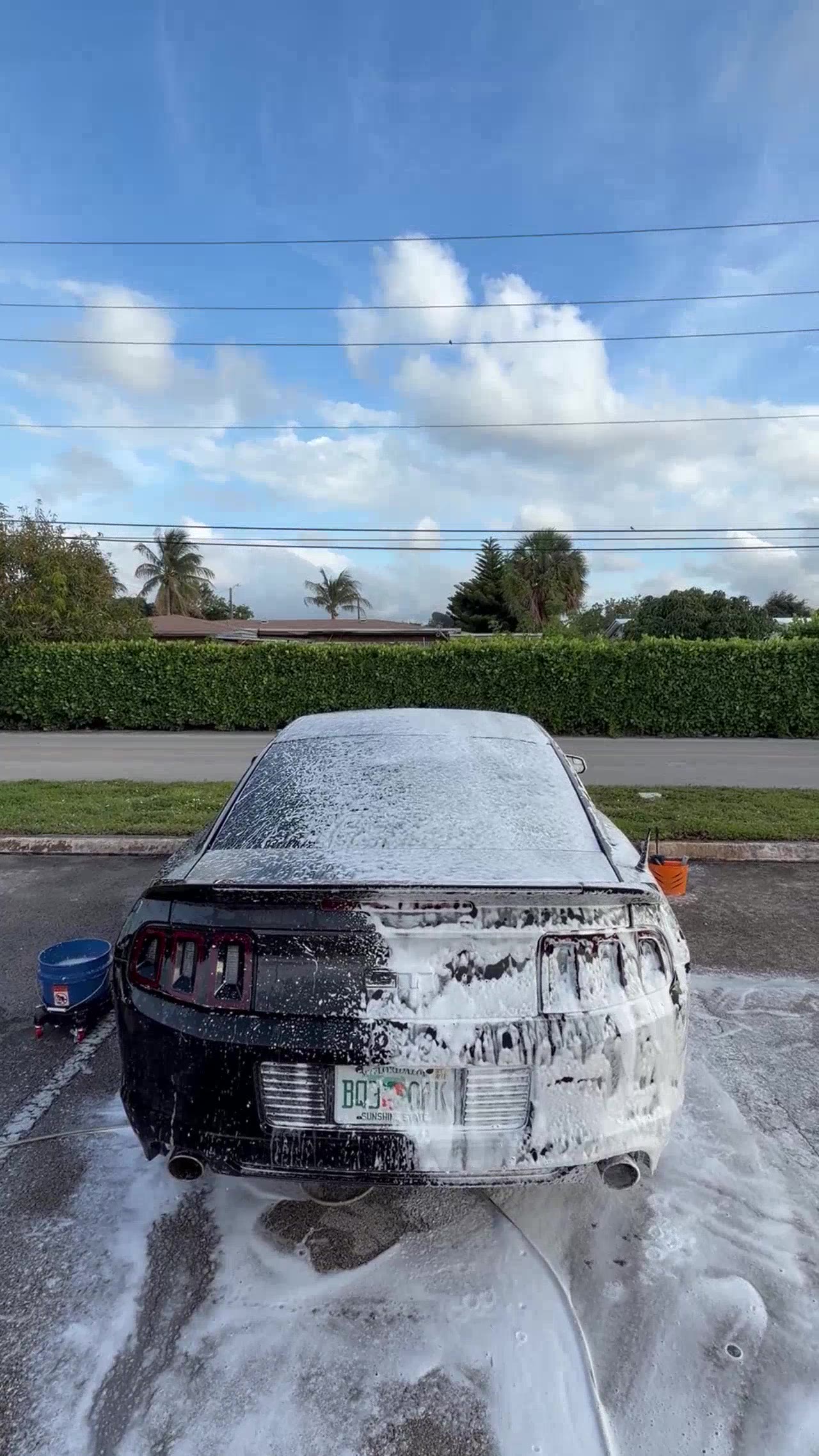 Black Mustang — foam cannon rear soak