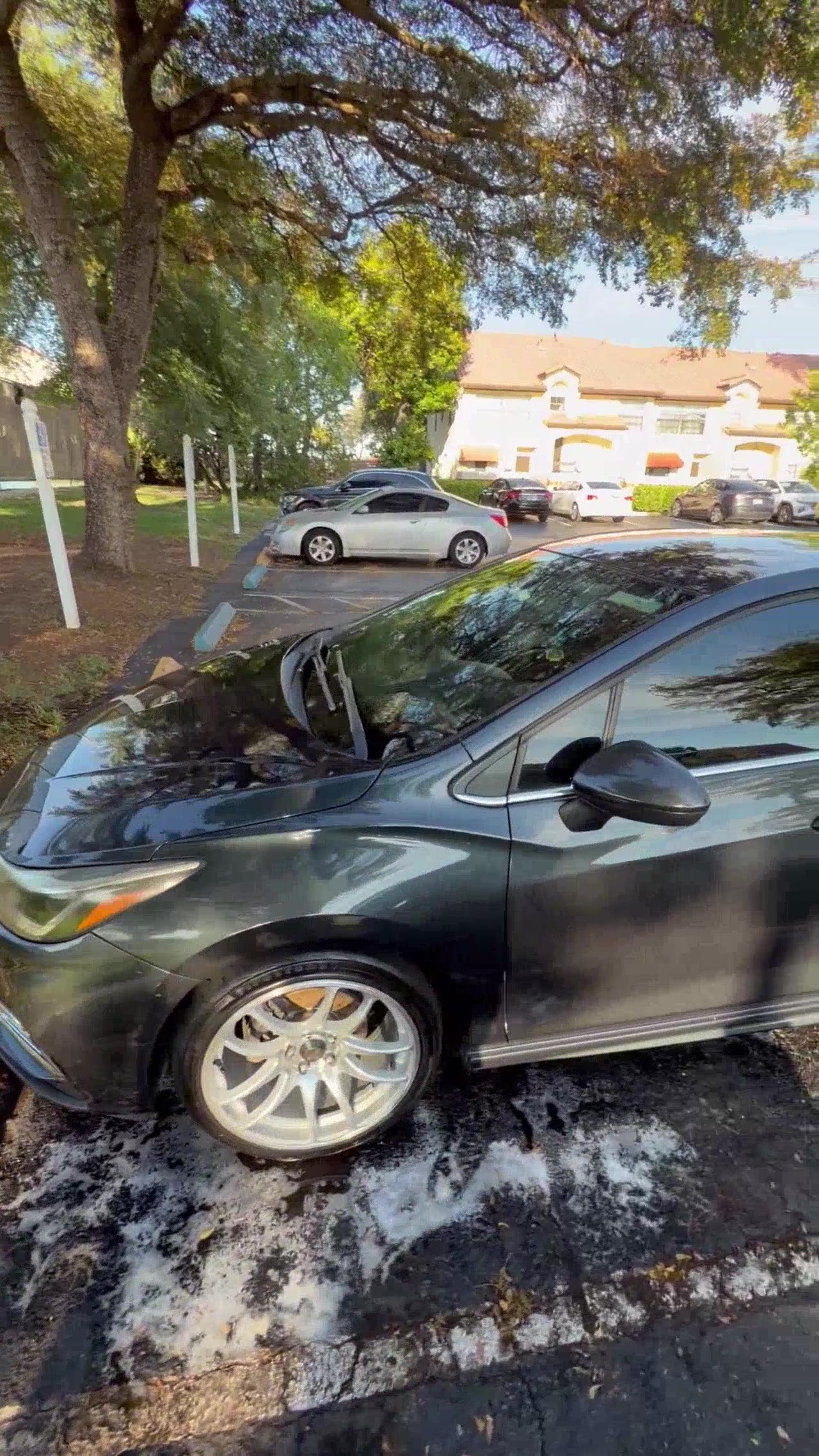 Honda Civic — exterior wash South Florida